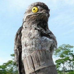 Алексей Степанов, 16.04.1989, Королёв