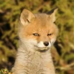 Миххха Некрутов, 19.02, Москва