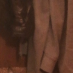 Сергей Токарев, 15.06.1986, Санкт-Петербург