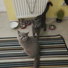 Марина Ли, 14.10.1987, Москва