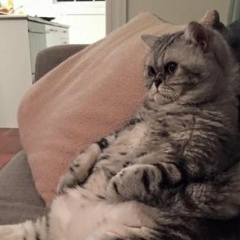 Fedya Zenin, 07.03.1995, Астана