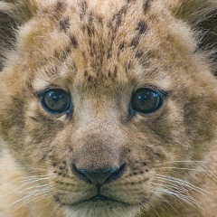 Султан Жантасов, 30.07.1991, Уральск