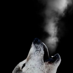 Мырзатай Каржаубаев, 28.09.1985, Актобе