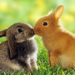 Милена Меметова, Запорожье