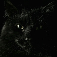 Вадим Вахрушев, Тараз