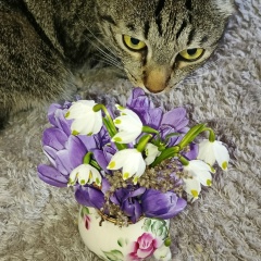 Наталья Янышева, 25.01.1986, Санкт-Петербург