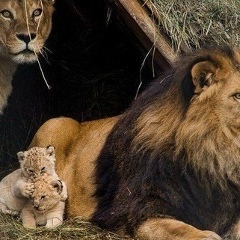 Армат Габдешов, 17.08.1988, Уральск