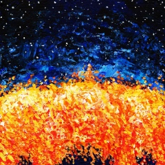 Jamal Dadaev, 26.03.1995, Махачкала