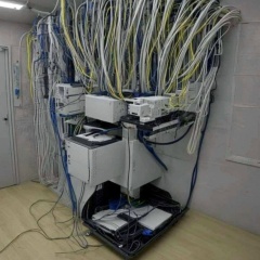 Николай Белимов, 01.11.1992, Bitterfeld-Wolfen