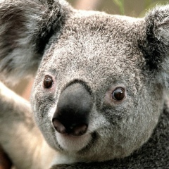 Юлия Ищенко, 09.02.2001, Сагуны (слобода)