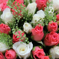 Татьяна Котова, 24.01, Москва