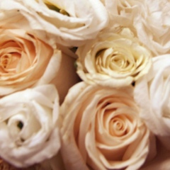 Аселька Кенжешова, 24.05, Санкт-Петербург