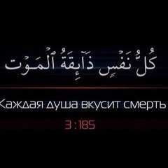 Салман Мешиев, 08.04.1991, Грозный