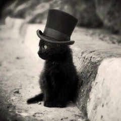 Севчик Логвин, 06.05.1993, Москва