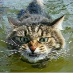 Кирилл Зеня, 19.05.1987, Ирпень