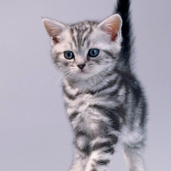 Олег Пискарев, 13.08.1971, Кимры