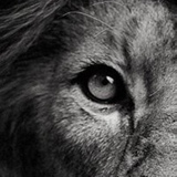 Владимир Полищук, 11.08.1990, Киев