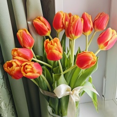 Ольга Никитина, Москва