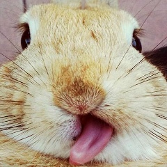 Світлана Іванюк, 15.10.1989, Хмельницкий