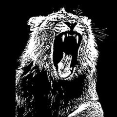 Игорь Копилевич, 13.06.1987, Москва