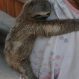 Саша Сенпай, Киев