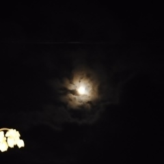 Timur Urazbaev, 06.07, Челябинск