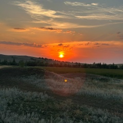 Изнаур Мусханов, 08.03.1997, Гудермес