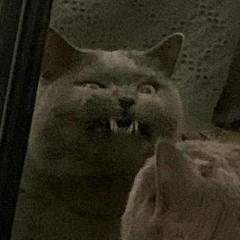 Никита Фёдоров, 10.11