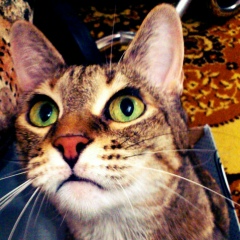 Аня Лапина, 13.02, Санкт-Петербург