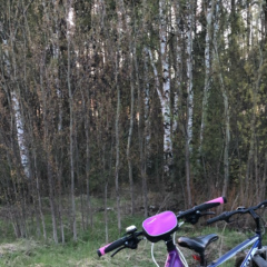 Dana Dana, 01.04, Подольск