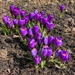 Евгения Савинкова, 22.09.1989, Москва