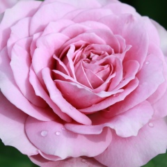 Галина Краско, 12.02, Санкт-Петербург