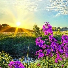 Светлана Сазонова, 08.02.1980, Ростов-на-Дону