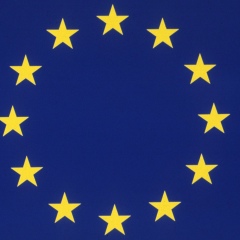 Олеся Палийчук, 29.07, Киев