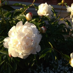 Полина Космодемьянская, 14.10.1991, Москва