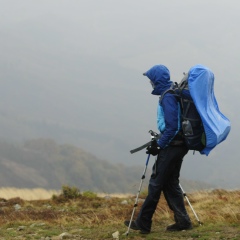 Виталик Гощенко, Киев