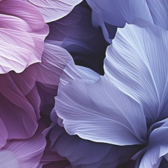 Натульчик Зорич, Власиха