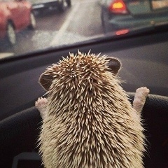 Наталья Молоканова, 23.04, Нижний Тагил