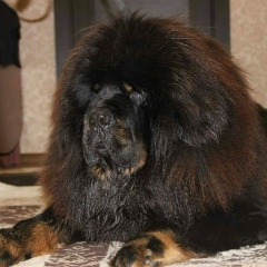 Евгений Т, 02.08.1984, Брянск