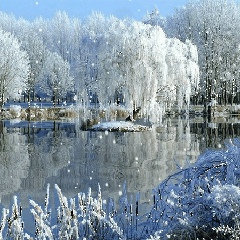 Тома Ламханова