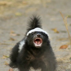 Иван Руднев, 28.06, Москва