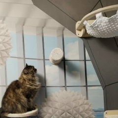 Валентина Первухина, 29.08.1987, Санкт-Петербург