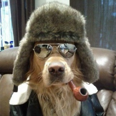 Константин Келеберда, Белгород