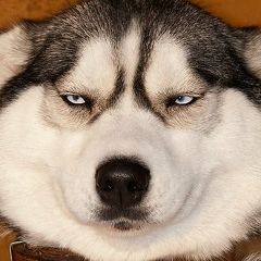 Юрий Сухарев, 03.04, Санкт-Петербург