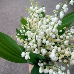 Оксана Ванова, 20.01, Киев