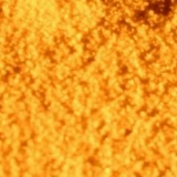 Алексей Герман, Омск