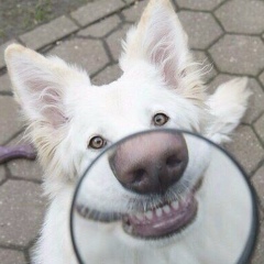 Денис Деготьков, 11.05.1983, Москва