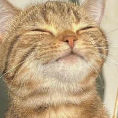 Лина Рябцева, 27.08, Болотное