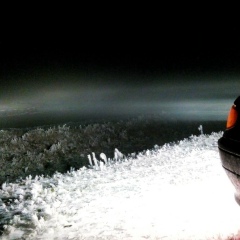 Артур Лебедев, 20.06