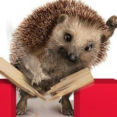 Серый Гром, 01.01